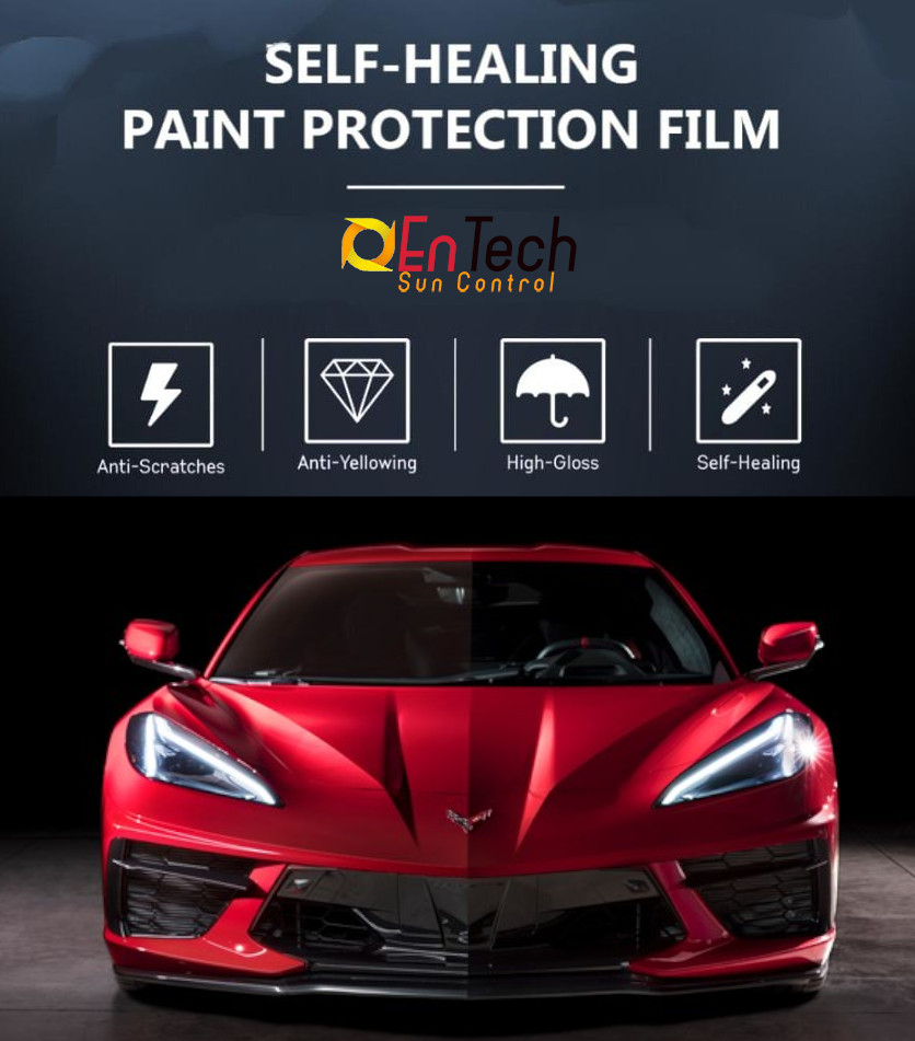 paint protection film